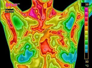 thermography07_1.jpg